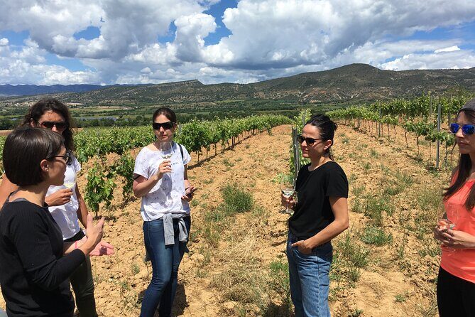 2-Day Tour: Gaudi & Sagrada Familia + Montserrat & Winery - Park Güell: The Upper-Town Views You Can’t Skip