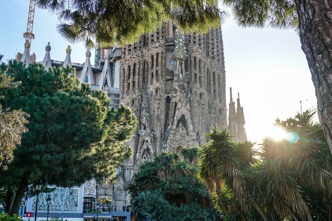 Barcelona all included: Sagrada, Park Güell, Montjuic & Gothic - Pace, walking, and what to wear on a 7-hour day