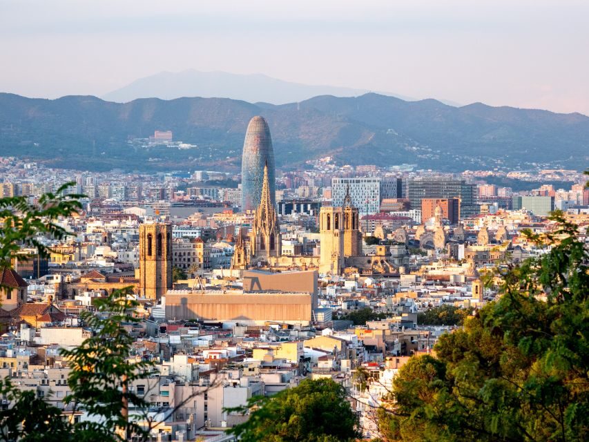Barcelona: Gothic Quarter & La Sagrada Familia Private Tour - Park Güell entry on your own: how to use the time well