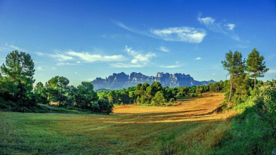 Barcelona: Sagrada Familia & Montserrat Full-Day with Pickup - Price and value: is $128 worth it for what you get?