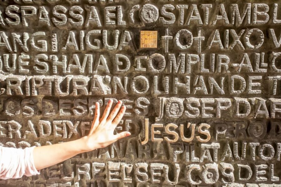 Barcelona: Sagrada Familia Tour with Optional Tower Access - Meeting point and getting there without stress