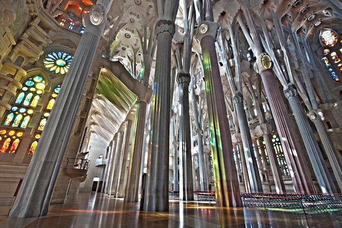 Park Guell and Sagrada Familia Private Tour with Hotel pick-up - Park Güell: Organic Forms, Tree Columns, and the Real-World Climb