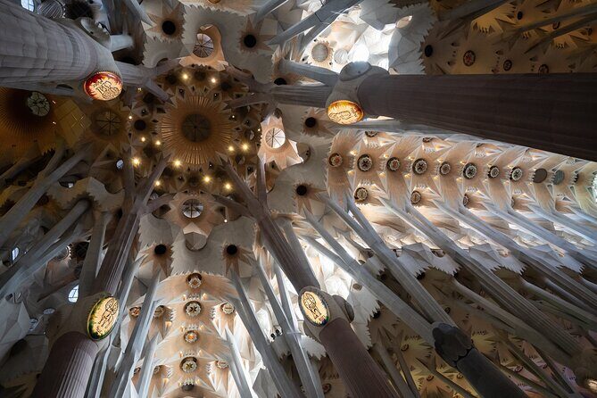 Sagrada Familia and Guell Park Private Tour - Weather and closures: the risk you can plan around