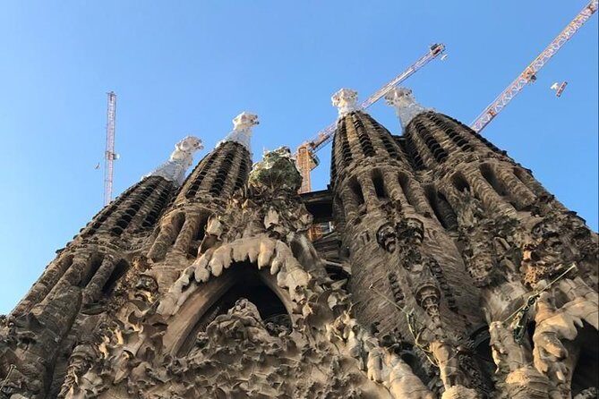 Skip The Line : La Sagrada Familia Guided Tour - Skip-The-Line Access at the Basilica Entrance